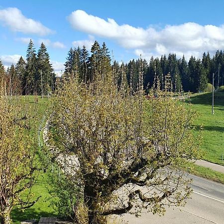 Auberge De La Couronne Saignelégier Εξωτερικό φωτογραφία